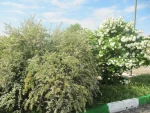 بهار 98 در آموزشکده 3