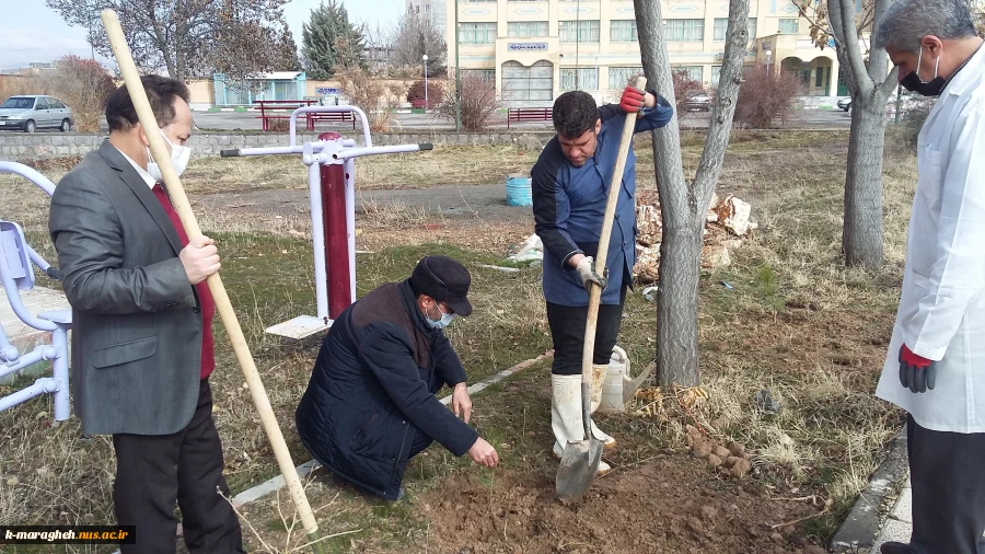 کاشت 85اصله نهال بمناسبت هفته درختکاری در دانشکده فنی و کشاورزی مراغه 5