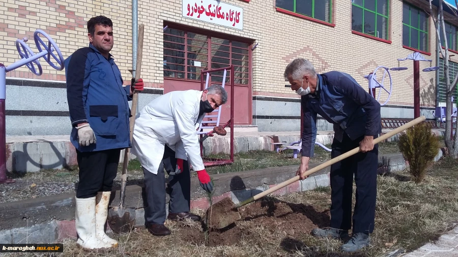آغاز مراسم غرس 100 اصله نهال بمناسبت هفته درختکاری در دانشکده فنی و کشاورزی مراغه 6