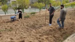 برگزاری هفته سراهای دانشجویی در آموزشکده ملی مهارت واحد مراغه 9